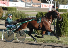 Quality Questioned 161006-2